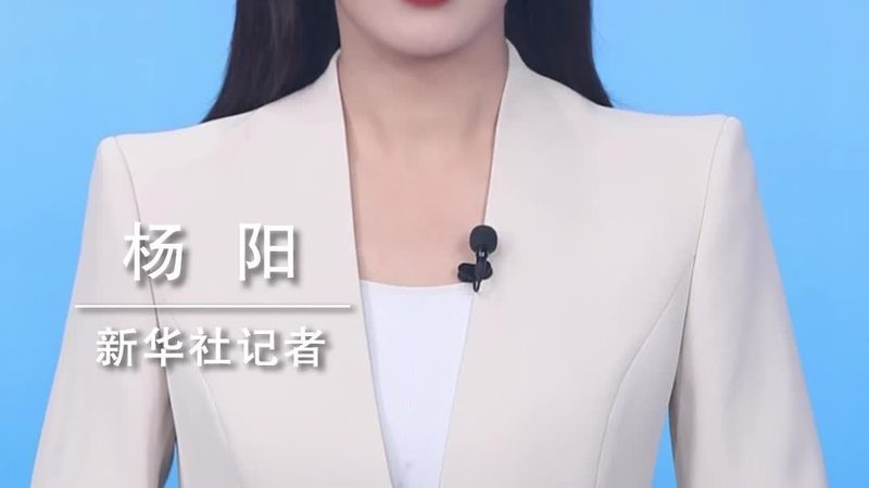 企业BI数据安全：构建坚实防线，守护业务核心